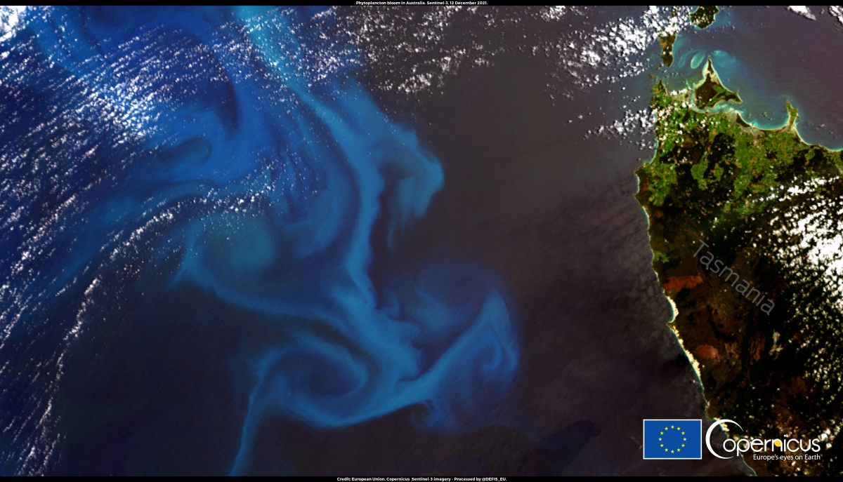 Phytoplankton are microscopic plants that grow in the sunlit surface waters of the ocean. When their concentration reaches a certain level, the bloom becomes visible from space.