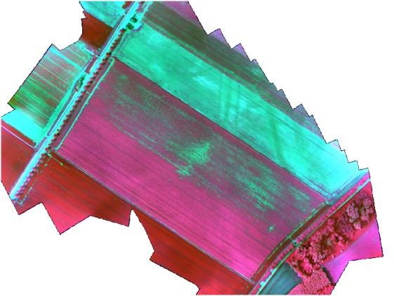 A typical field image obtained by Fieldcopter.