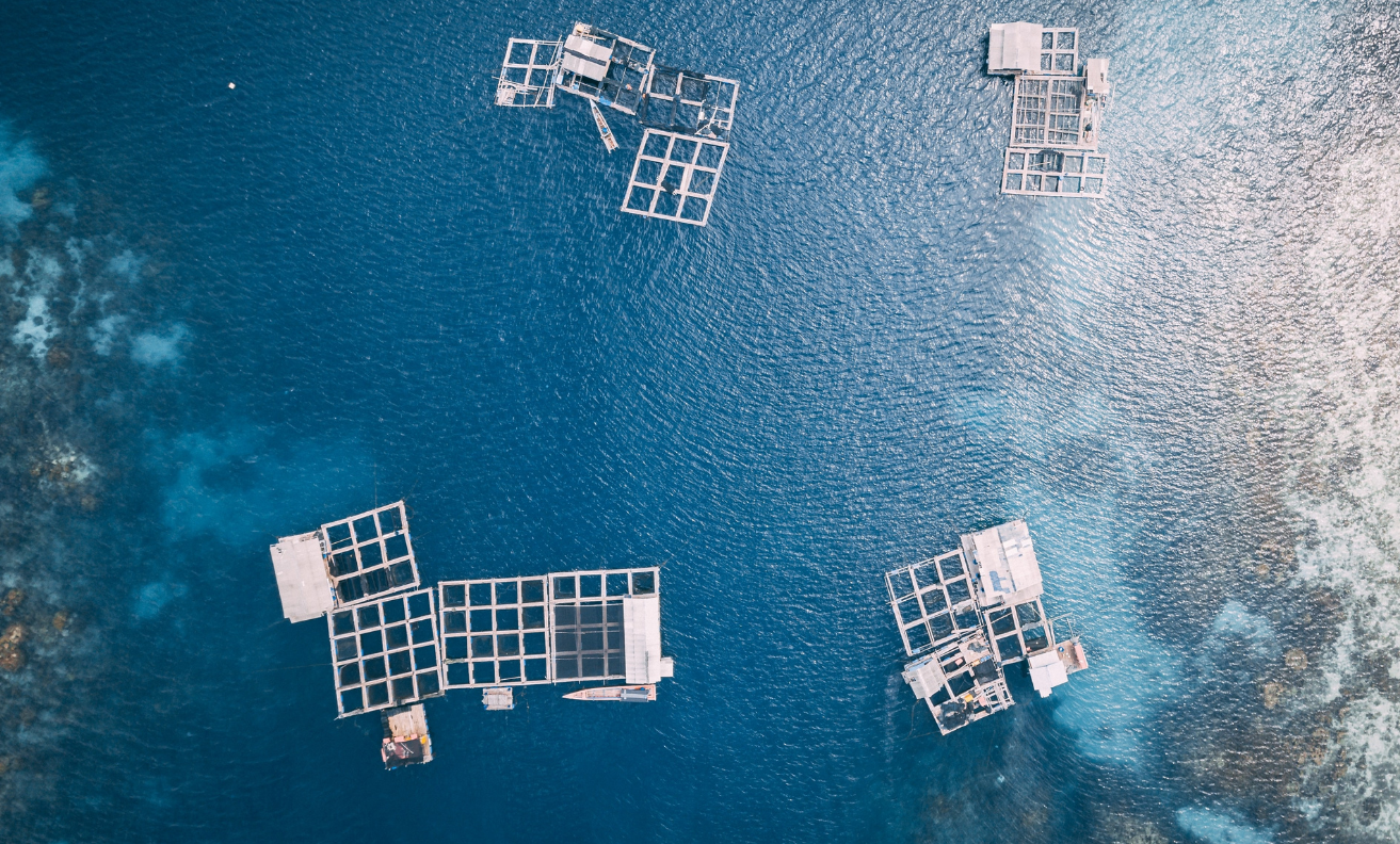 Both Copernicus, for EO, and Galileo, for GNSS, are also being used to support Europe’s growing aquaculture sector.