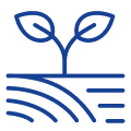 agriculture