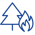 wildfires icon