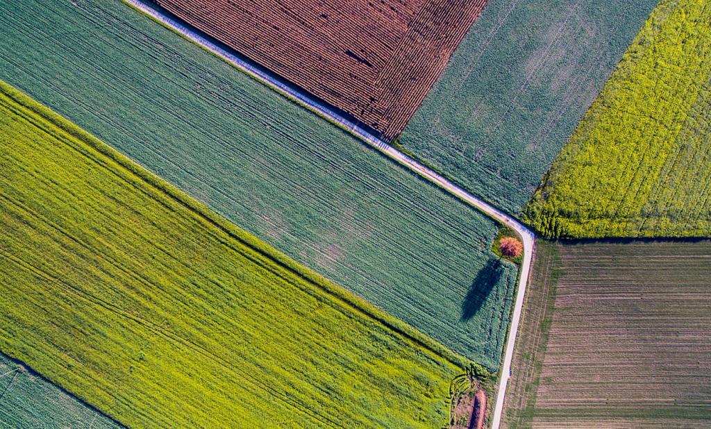 Space applications can help improve the efficiency of agricultural production and reduce its environmental impact. 