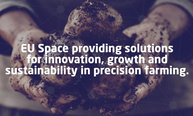 The Van den Borne potato farm, just off the Belgian-Dutch borders, is one of the most technologically advanced potato farms in the EU