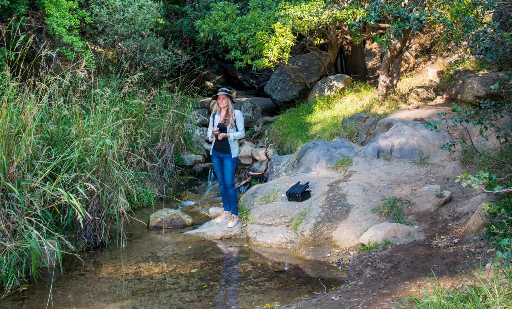 Joint use of EGNSS and Earth observation enables applications of great interest to the mapping and surveying communities.