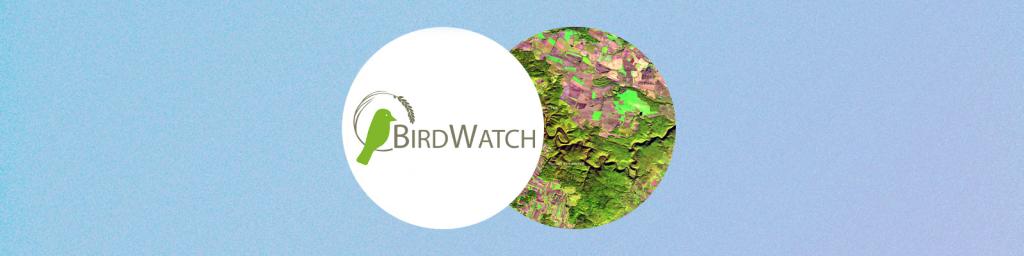 Birdwatch success story