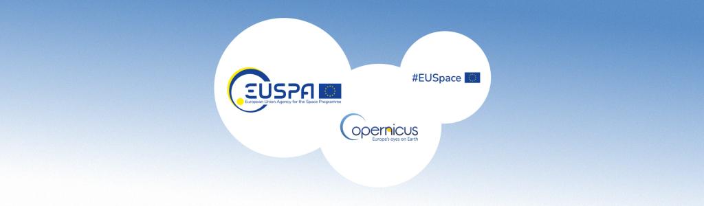 Copernicus demonstrators