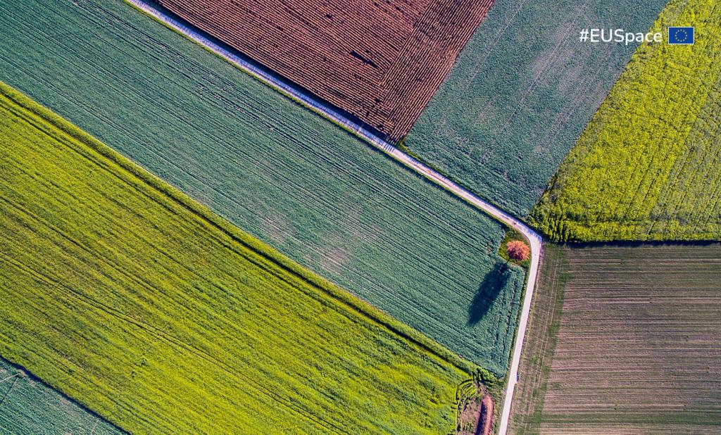 HAS in agriculture