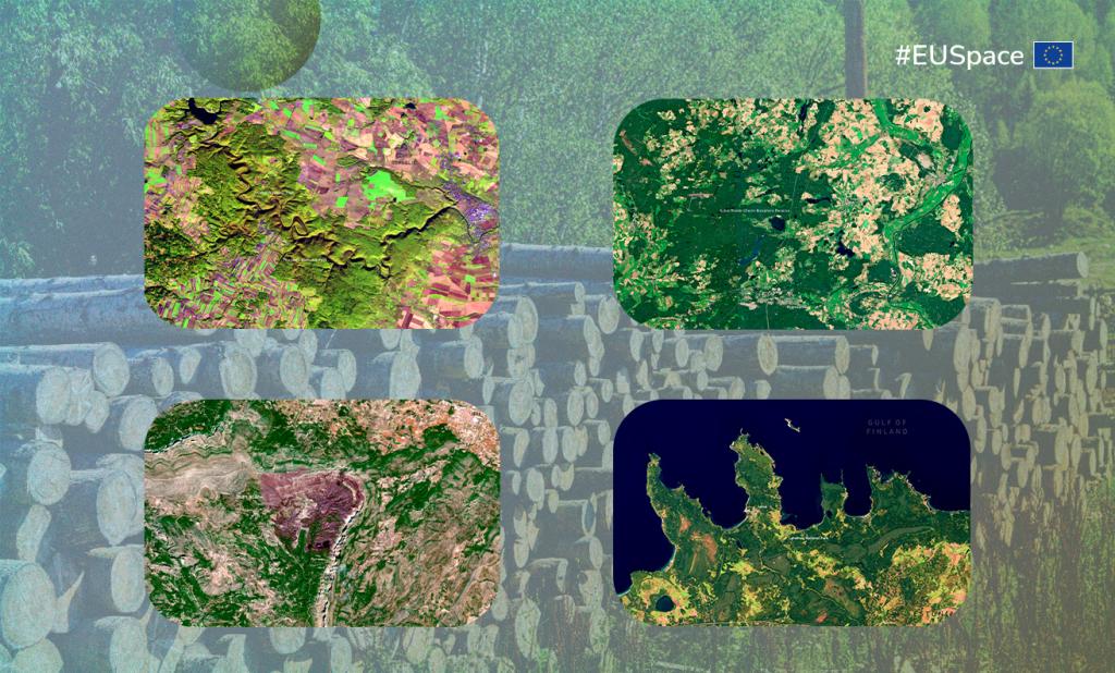 Copernicus Satellite images