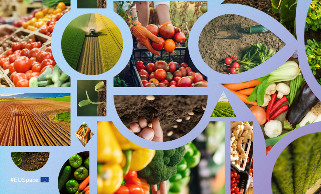 World Food Day