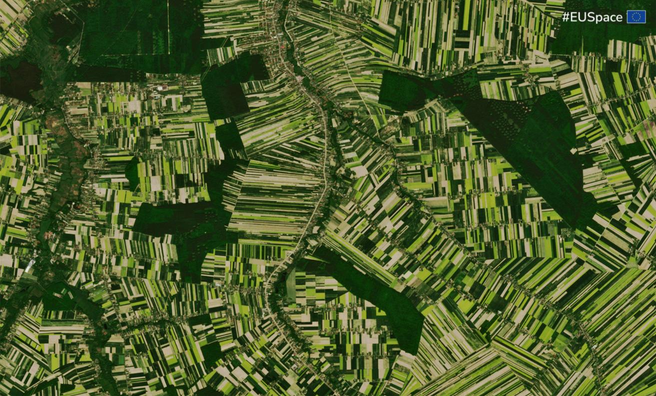 Credit: European Union. Blossoming rapeseed fields in Lublin, Poland captured by Copernicus Sentinel-2 imagery