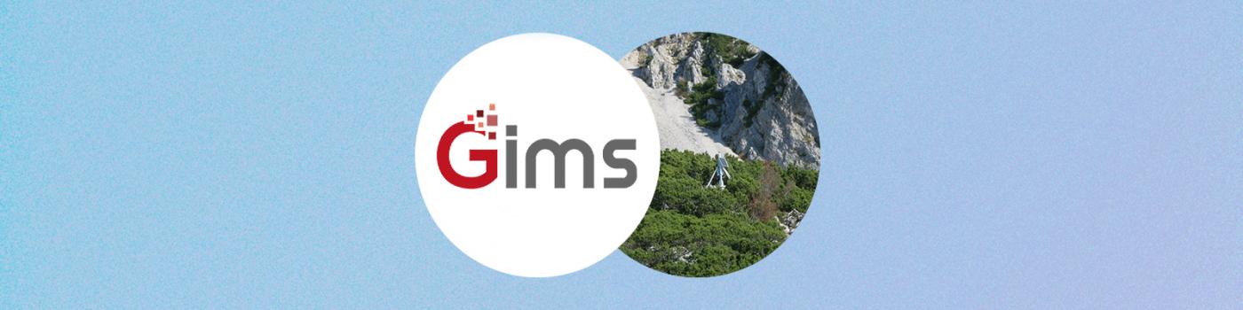 GIMS project success story