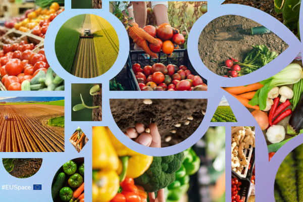 World Food Day