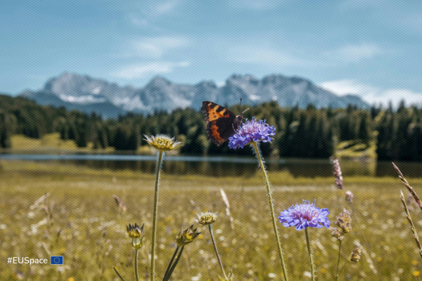 World Habitat Day