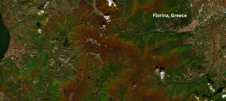 EU Forests are taking on spectacular colours in autumn. Image captured by Copernicus Sentinel-2