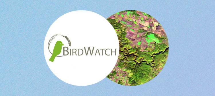 Birdwatch success story