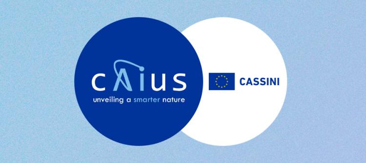 Caius - Success Story