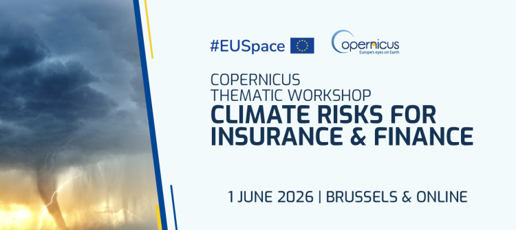 Copernicus Thematic Workshop on Climate Risks for Insurance and Finance