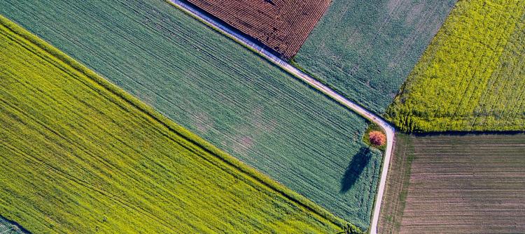 HAS in agriculture