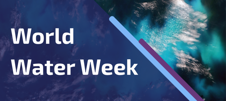 Ilustrative image for the World Water Week