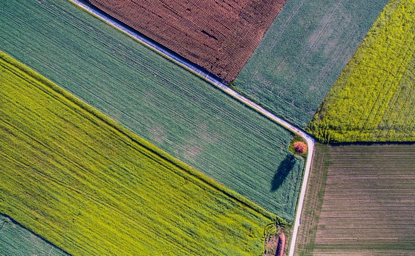 Space applications can help improve the efficiency of agricultural production and reduce its environmental impact. 