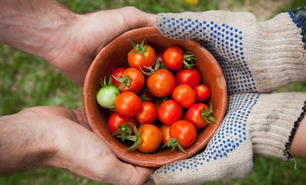 The combination of EGNSS with Earth observation can deliver significant benefits to the agricultural sector.