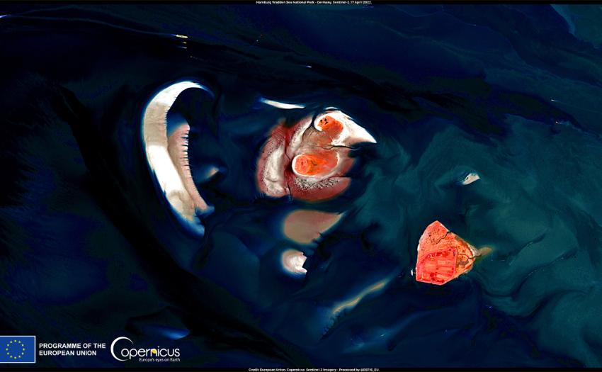 This image, acquired by one of the Copernicus Sentinel-2 satellites on 17 April 2022, shows the Hamburg Wadden Sea National Park, particularly the islands of Neuwerk, Scharhörn and Nigehörn within its perimeter.