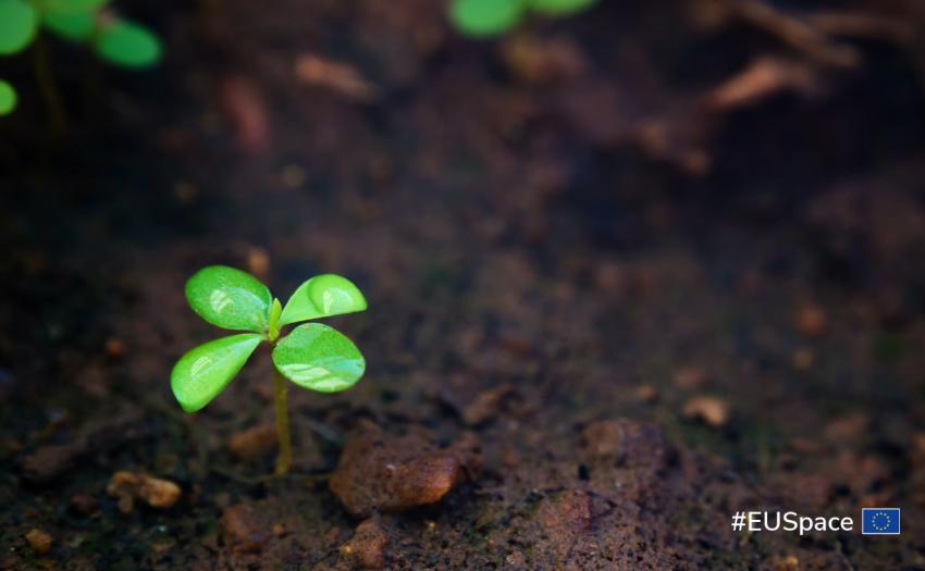 EU Space plays a key role in the restoration and preservation of healthy soils as part of the fight against climate change.