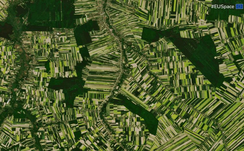 Credit: European Union. Blossoming rapeseed fields in Lublin, Poland captured by Copernicus Sentinel-2 imagery