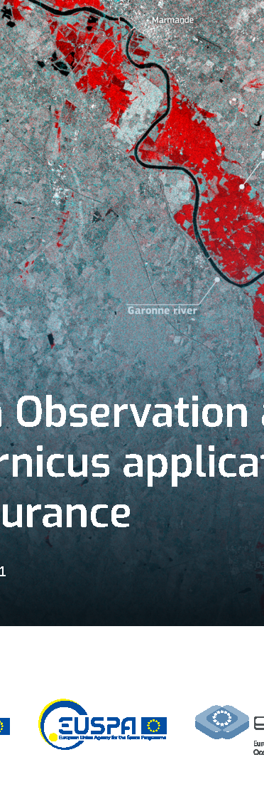 Earth Observation and Copernicus applications in insurance cover