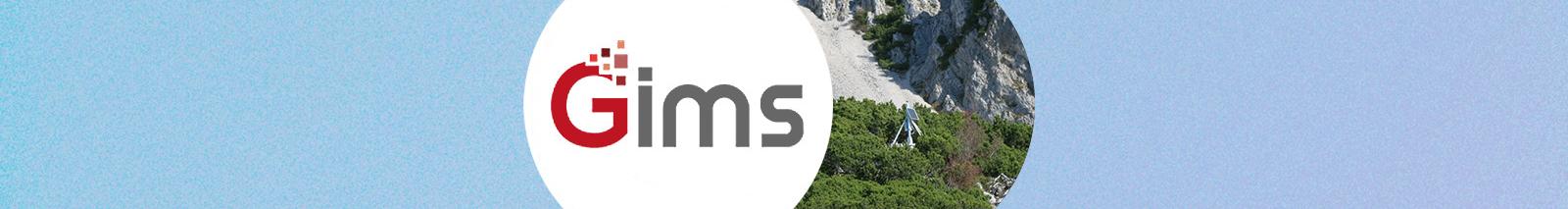 GIMS project success story