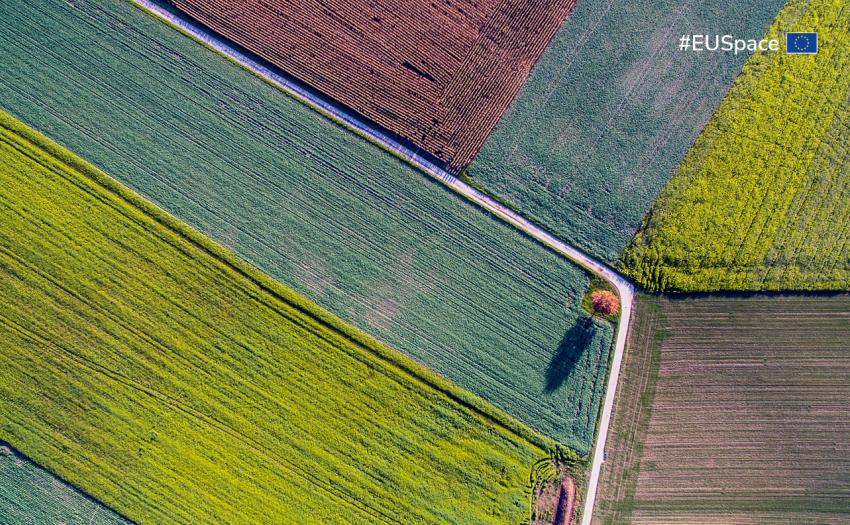 HAS in agriculture