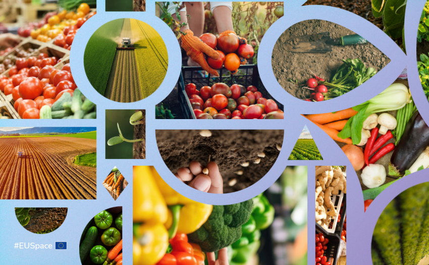 World Food Day